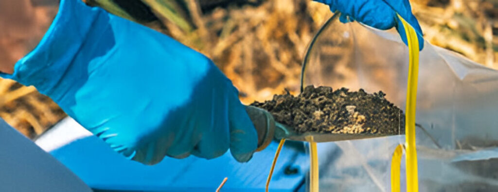 cohesive soil samples